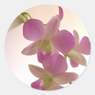 Paarse Orchidee Stickers