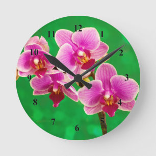 Paarse Orchideeën Acryl wandklok Ronde Klok