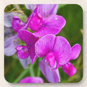 Paarse Orchideeën Bier Onderzetter