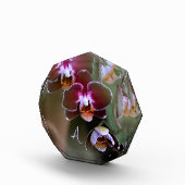 Paarse orchideeën botanische fotografie monogram fotoblokken (Rechts)