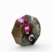 Paarse orchideeën botanische fotografie monogram fotoblokken (Links)