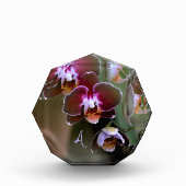 Paarse orchideeën botanische fotografie monogram fotoblokken (Voorkant)