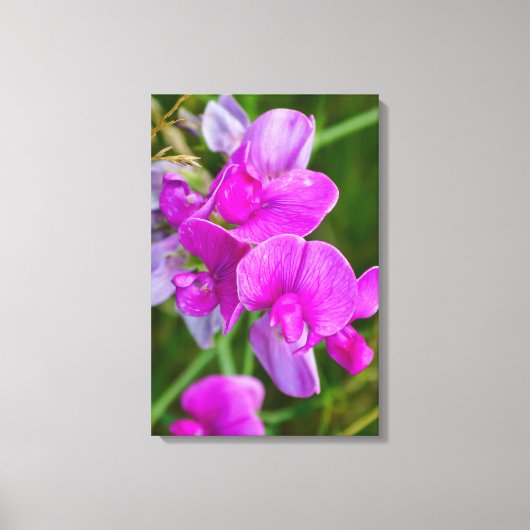 Paarse orchideeën canvas afdruk (Voorkant)