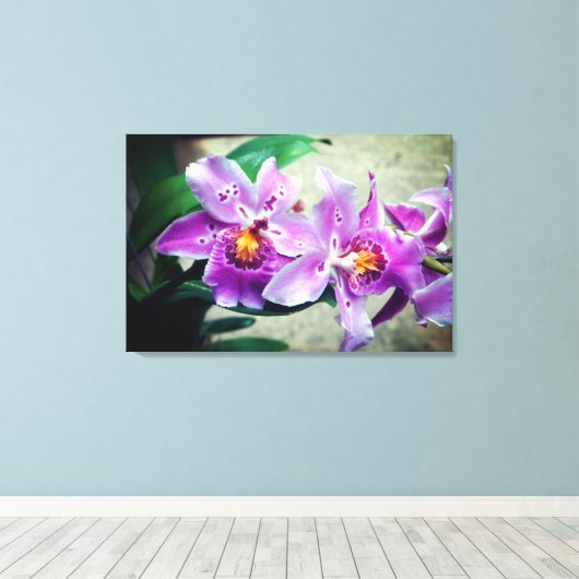 Paarse orchideeën gewikkeld canvas print (Insitu (Houten vloer))