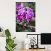 Paarse orchideeën in bloom poster (Thuiskantoor)
