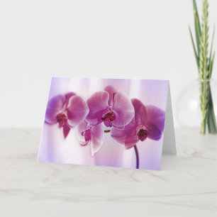 Paarse orchideeën kaart