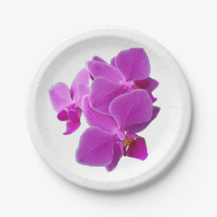 Paarse orchideeën op papier bord