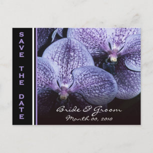 Paarse Orchideeën Save the Date Briefkaarten