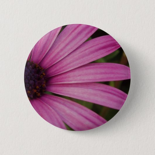 Paarse Osteospurmum Button (Voorkant)