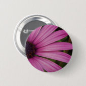 Paarse Osteospurmum Button (Voorkant /achterkant)