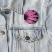 Paarse Osteospurmum Button (In situ)