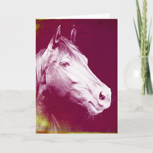 Paarse Paard, Verjaardag Kaart (Voorkant)
