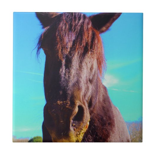 Paarse paarden met groene mond tegeltje (Voorkant)