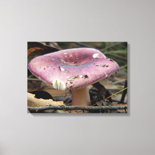 Paarse Paddestoel Verpakt Canvas Afdruk