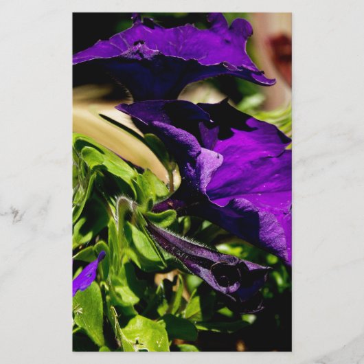 Paarse paniek briefpapier (Voorkant)