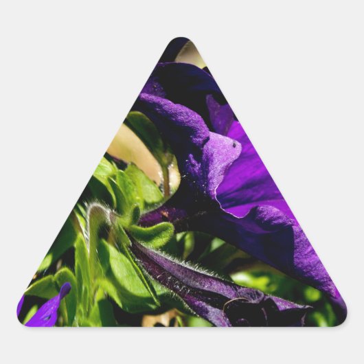 Paarse paniek driehoek sticker (Voorkant)