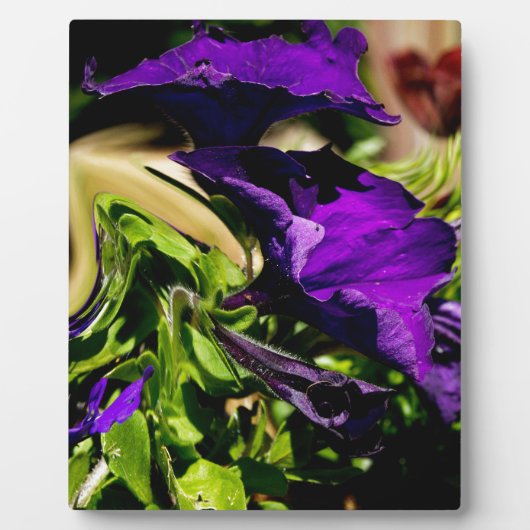 Paarse paniek fotoplaat (Voorkant)