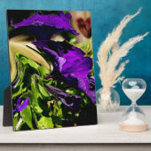 Paarse paniek fotoplaat (Zijkant)