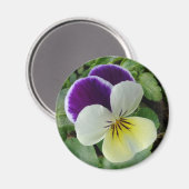 Paarse paniek magneet (Voorkant / Achterkant)