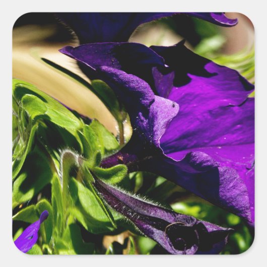 Paarse paniek vierkante sticker (Voorkant)