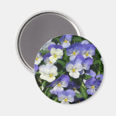 Paarse Pansies Garden Floral Magneet (Voorkant / Achterkant)