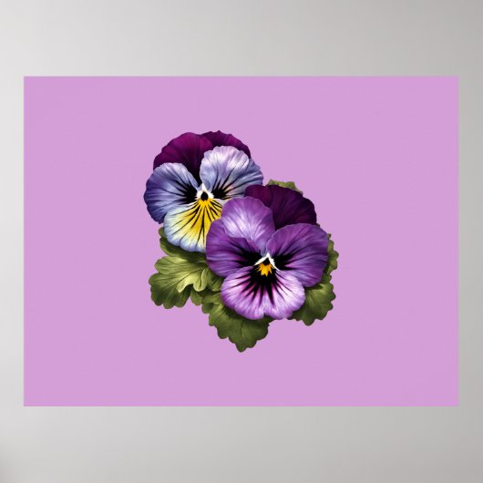 Paarse Pansies Poster (Voorkant)