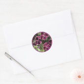 Paarse Pansies Ronde Sticker (Envelop)