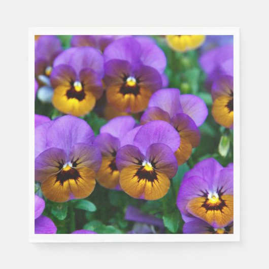  Paarse Pansies Servet (Voorkant)