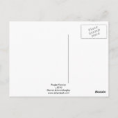 Paarse Pansy Briefkaart (Achterkant)