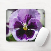 Paarse Pansy close-up Muismat (Met muis)
