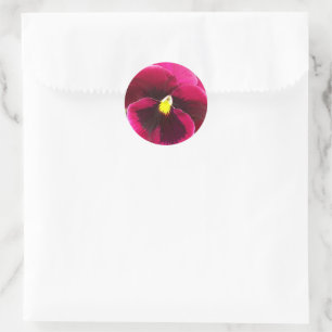 Paarse Pansy Floral Ronde Sticker