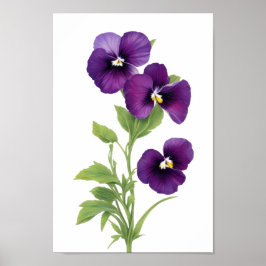 Paarse Pansy Poster