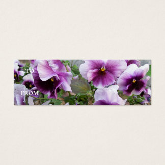Paarse Pansy-profielkaart Mini Visitekaartjes