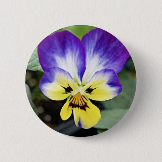 Paarse Pansy Ronde Button 5,7 Cm (Voorkant)