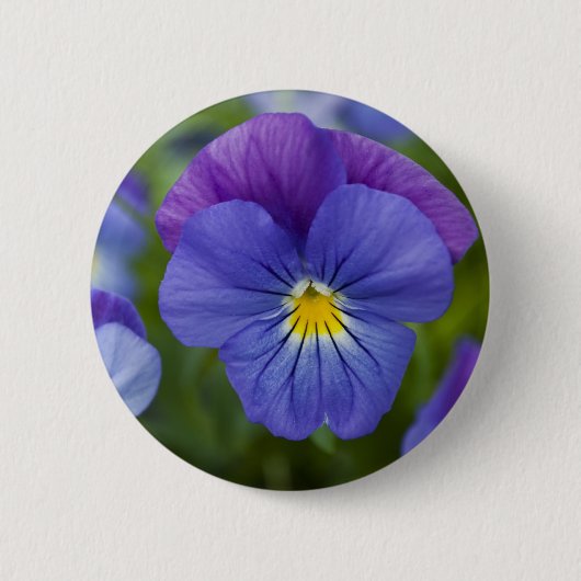 Paarse Pansy Ronde Button 5,7 Cm (Voorkant)