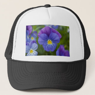 Paarse Pansy Trucker Pet