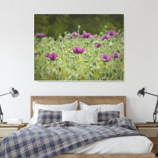 Paarse papavers in Blooming Meadow Canvas Afdruk