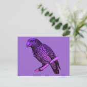 Paarse Parrot Briefkaart (Staand voorkant)