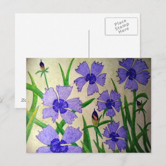 Paarse Passie Briefkaart (Voorkant / Achterkant)