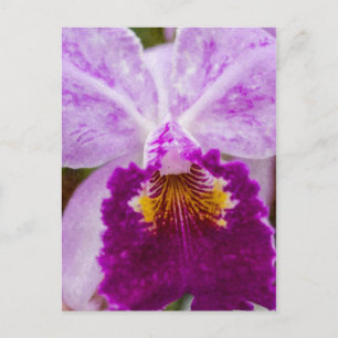 Paarse Passie Orchidee Briefkaart