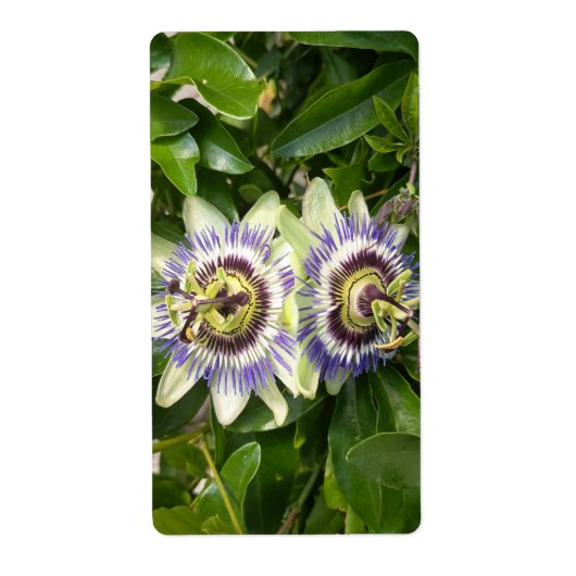 Paarse Passiebloem Label (Voorkant)