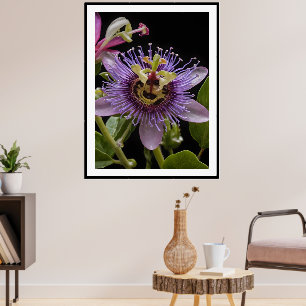 Paarse Passievrucht Bloem, Poster