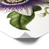 Paarse Passion Flower Art Print Poster (Hoek)