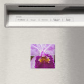 Paarse Passion Orchid Magneet (Insitu (Vaatwasser))