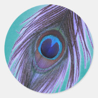 Paarse Peacock Feather op Blauwgroen