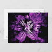 Paarse Petal Hellos Briefkaart (Voorkant / Achterkant)