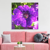 Paarse Petunia in een Rain Shower Canvas (Insitu (Woonkamer))