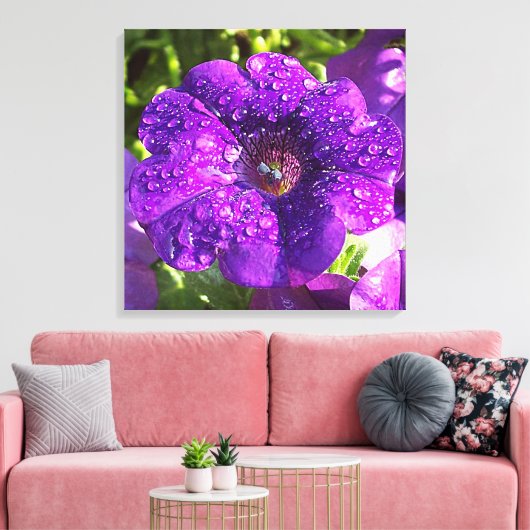 Paarse Petunia in een Rain Shower Canvas (Insitu (Woonkamer))