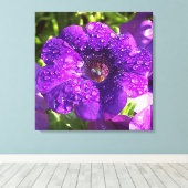 Paarse Petunia in een Rain Shower Canvas (Insitu (Houten vloer))