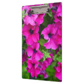 Paarse petunia klembord (Links)